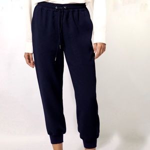 Aritzia Wilfred jogger pants black crepe fabric